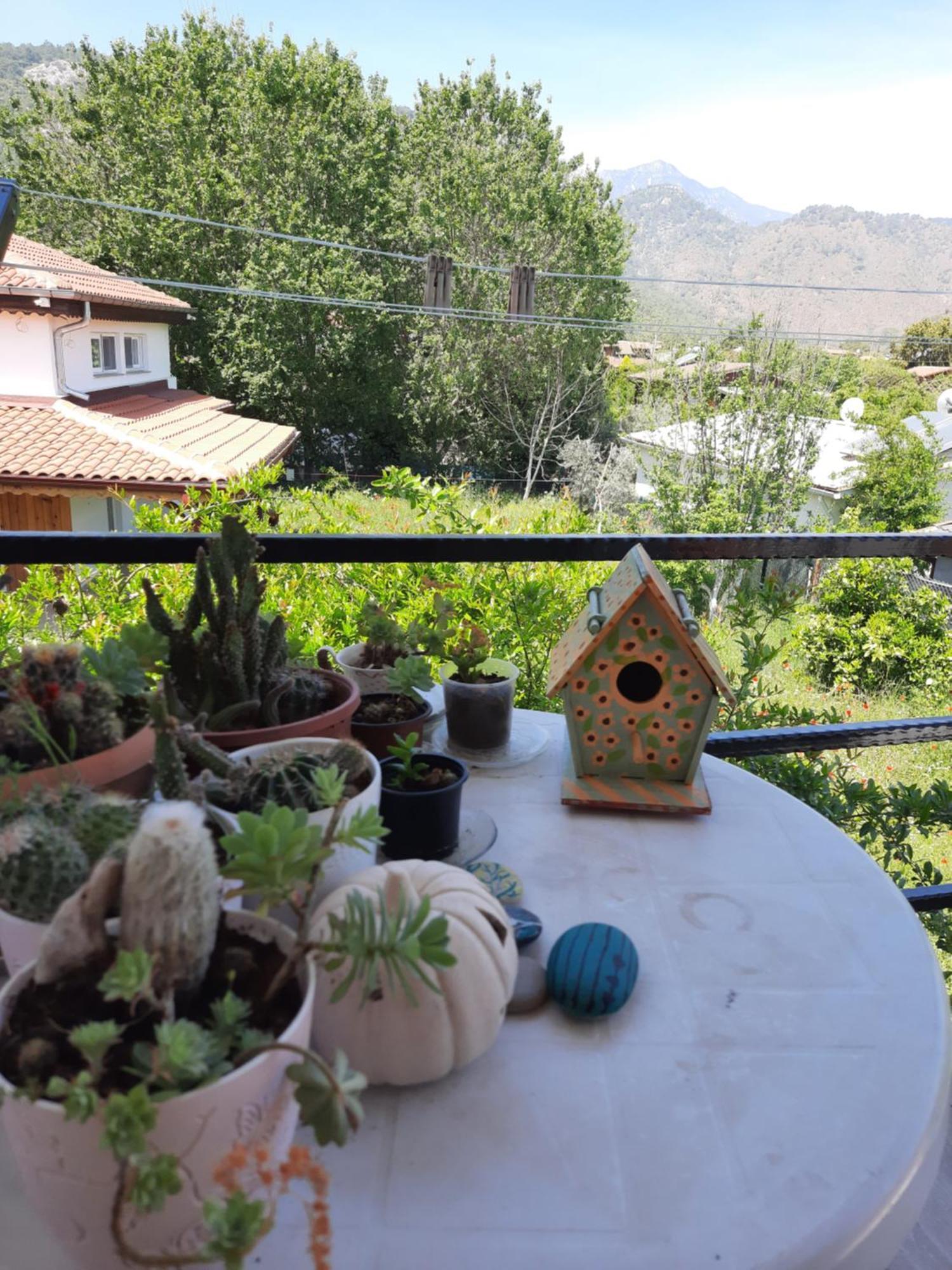Bed and Breakfast Cirali Kus Yuvasi Pokój zdjęcie