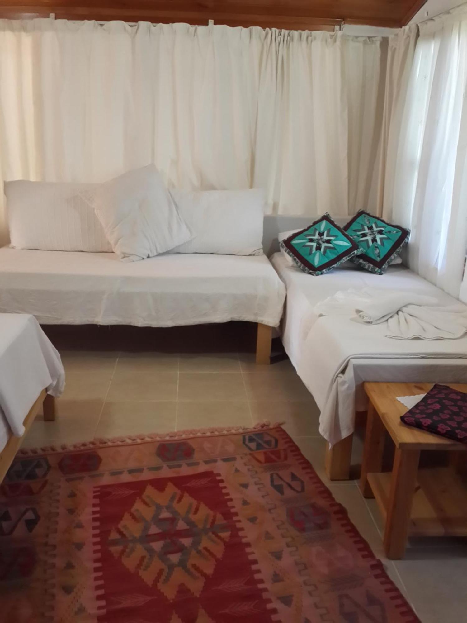 Bed and Breakfast Cirali Kus Yuvasi Pokój zdjęcie